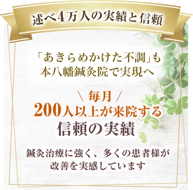 本八幡鍼灸院はり灸院鍼灸院キャンペーン