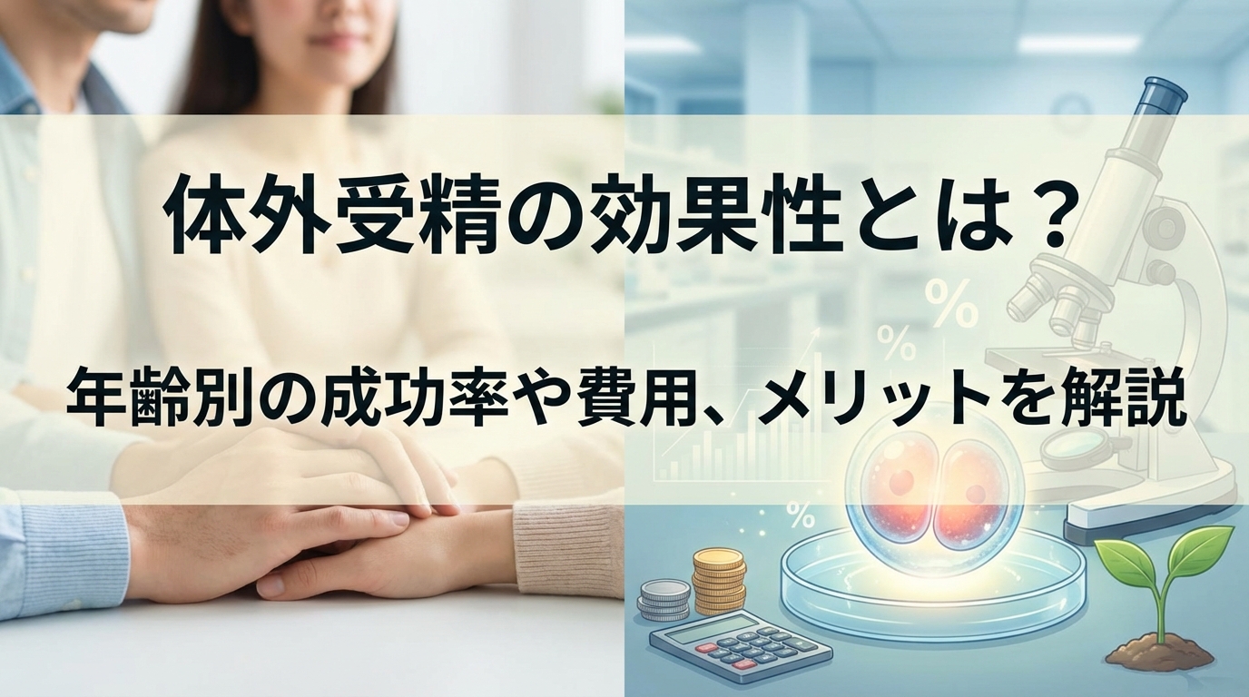 体外受精の効果性とは？年齢別の成功率や費用、メリットを解説