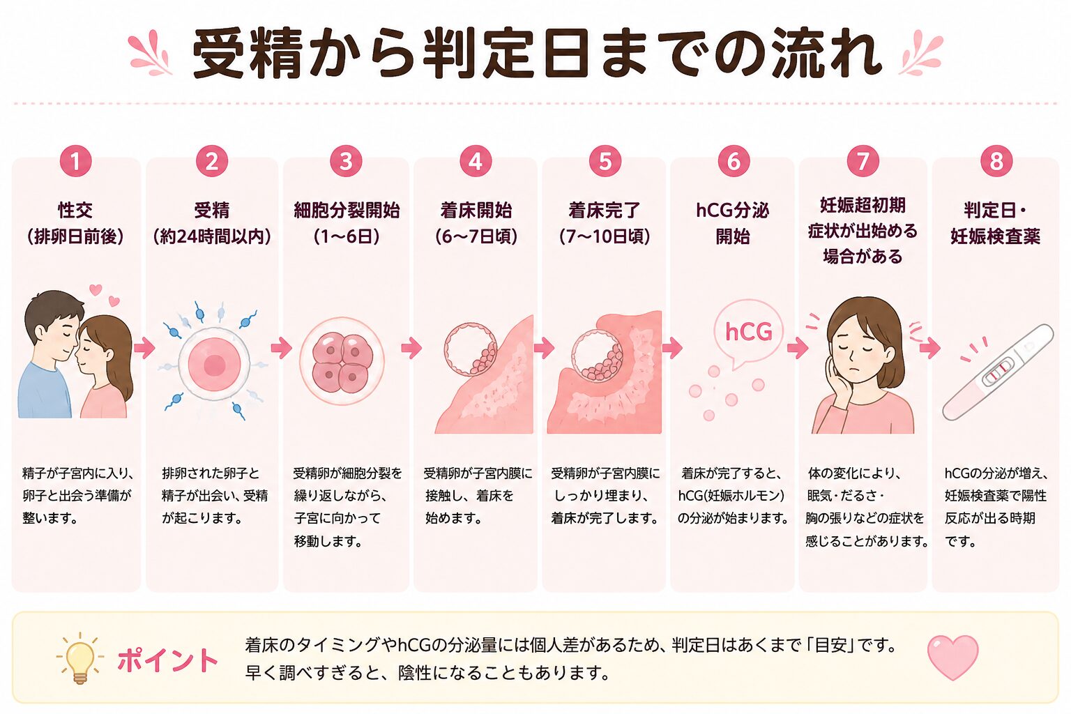 受精から判定日までの時系列表