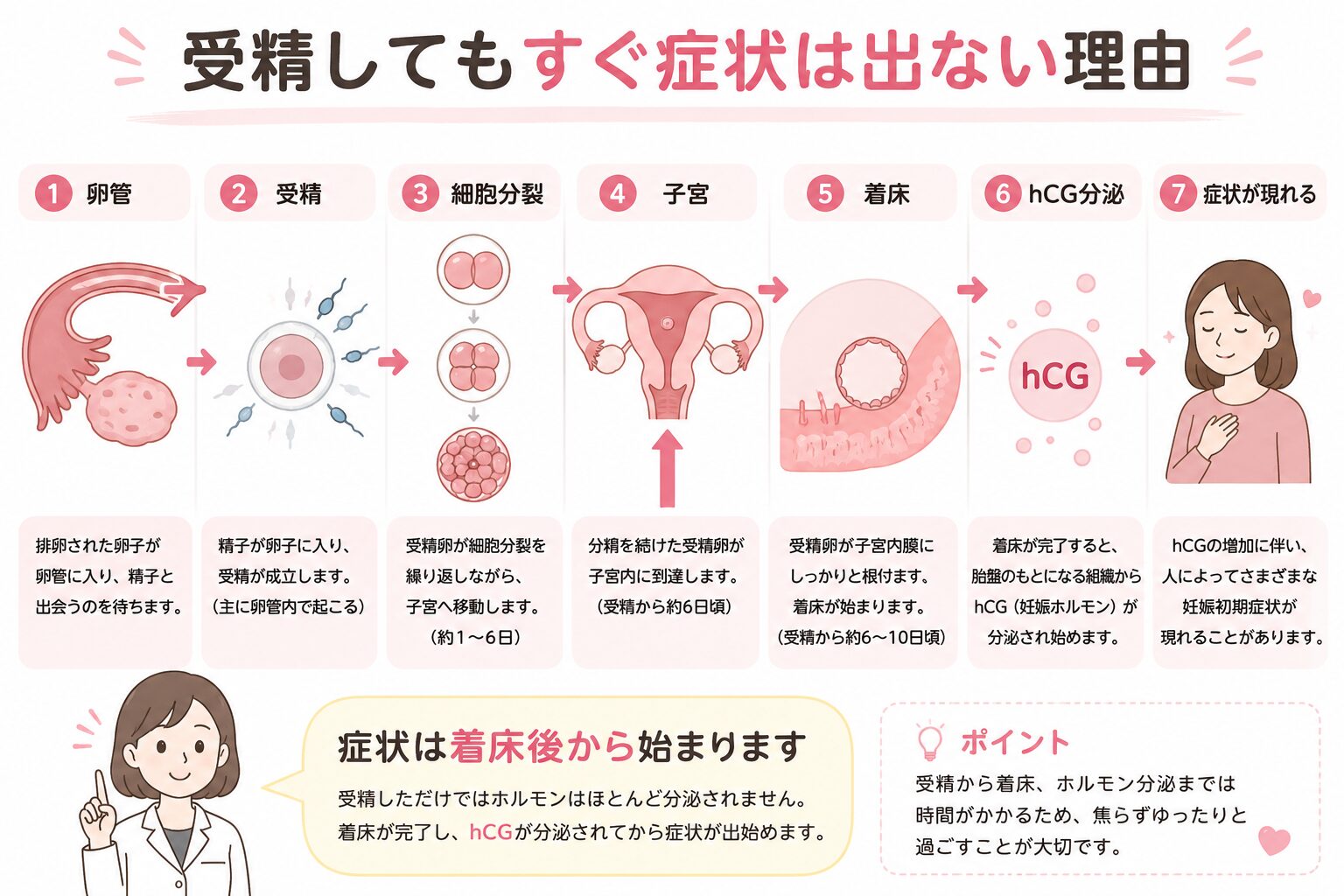 受精してもすぐ症状は出ない理由