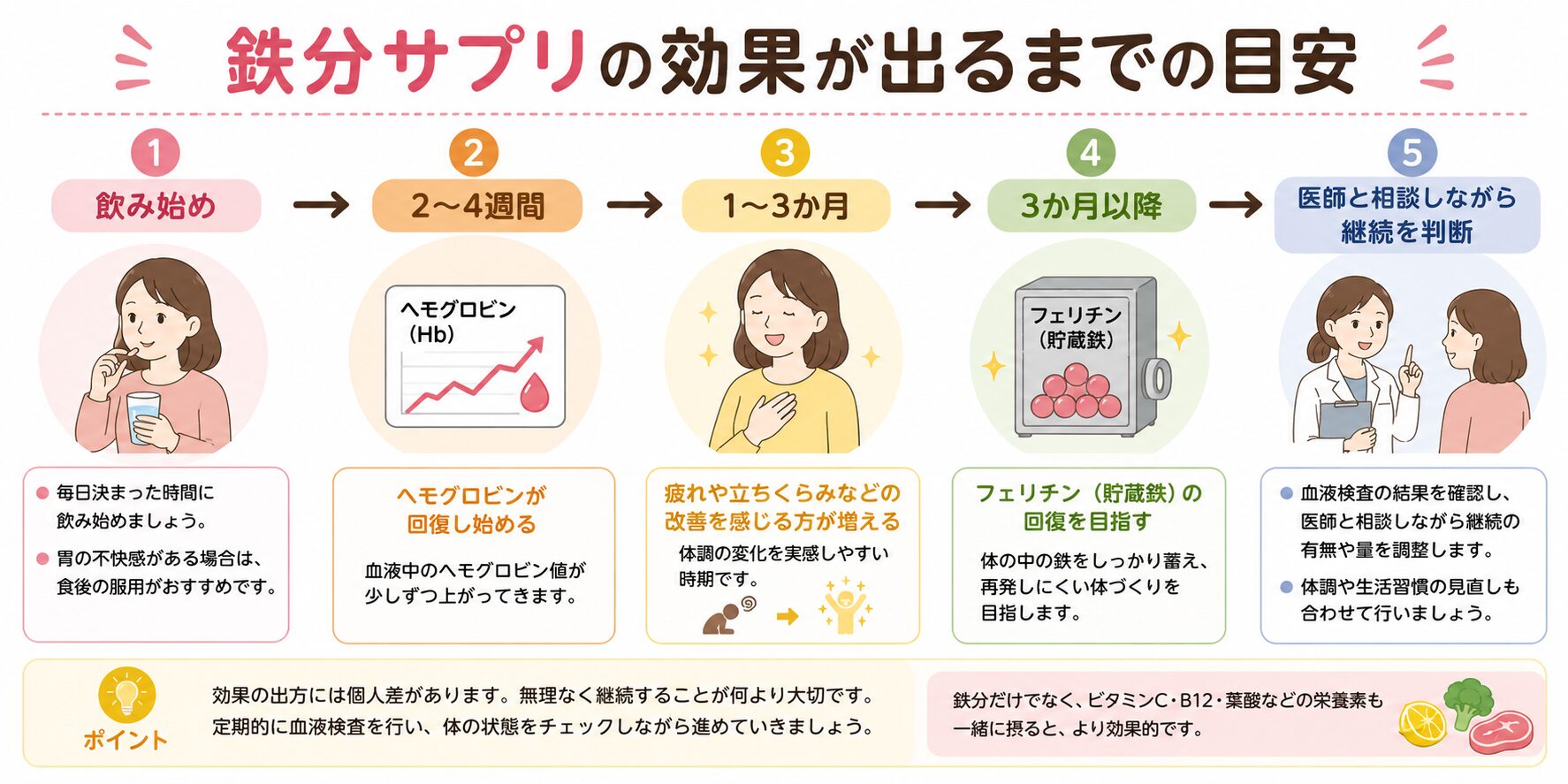 鉄分サプリの効果が出るまでの目安