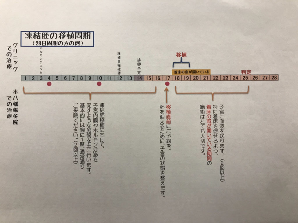 体外受精をお考えの方 本八幡鍼灸院は妊娠率85 確かな技術で授かり体質へ改善 市川市